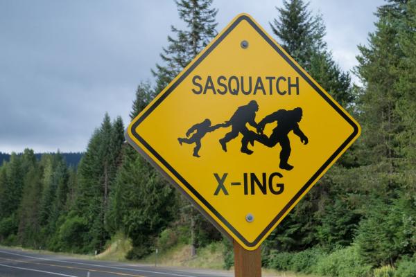 Image for event: Bigfoot, Sasquatch, or Big Red Eye - Fact or Fiction?
