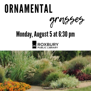 Image for event: Ornamental Grasses