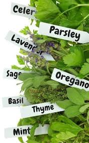Image for event: Grow and Preserve Culinary Herbs for Year Round Enjoyment