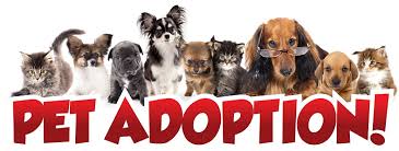 Image for event: Pet Adoption Event