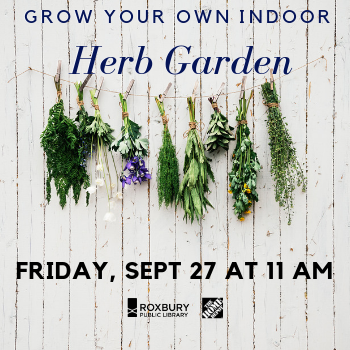 Image for event: Grow Your Own Indoor Herb Garden